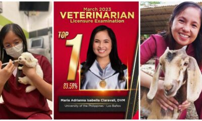 Top 1 in Veterinarian Licensure Examination